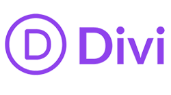 divi large logo